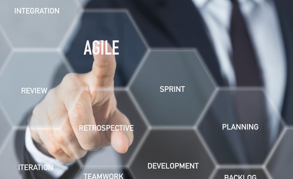 enterprise-agile-coach